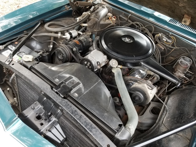 1967-chevrolet-camaro-ss-173.jpg